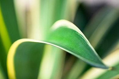 《武装原型：永恒》最终更新预告 8月8日上线